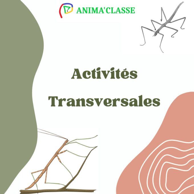 activités transversales dossier