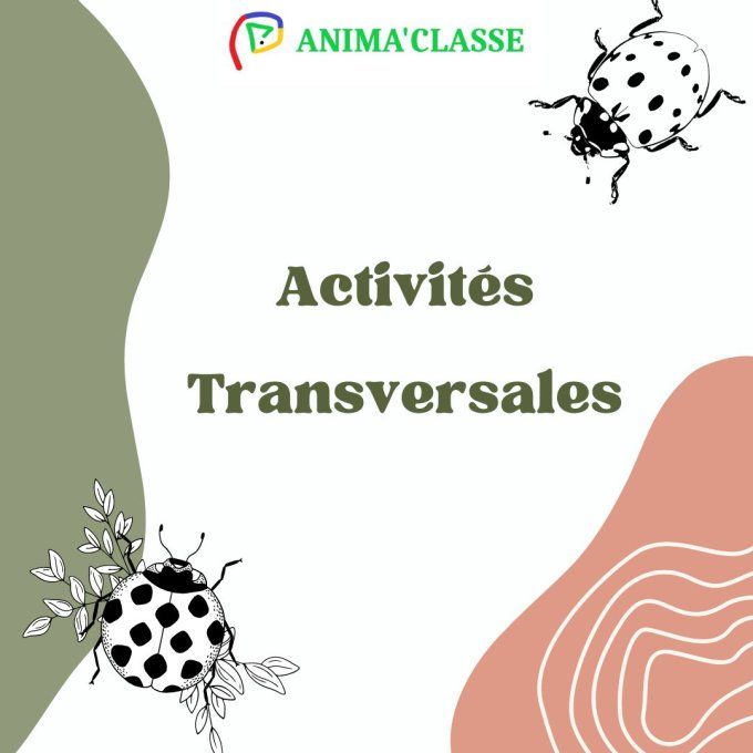 dossier activités transversales