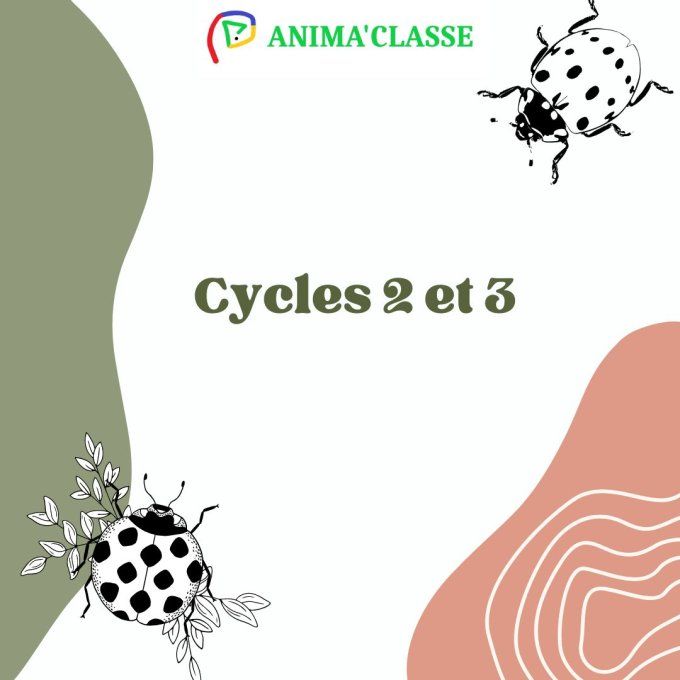 dossiers cycle 2 et 3 primaire