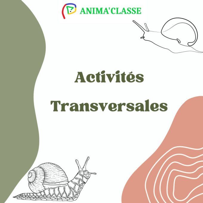 dossier activités transversales