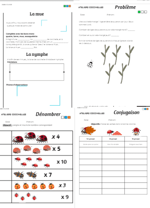 activités en classe primaire