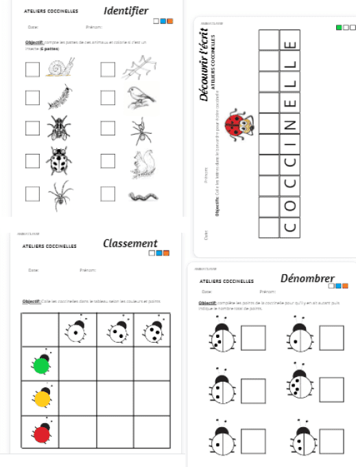 activités en classe maternelle