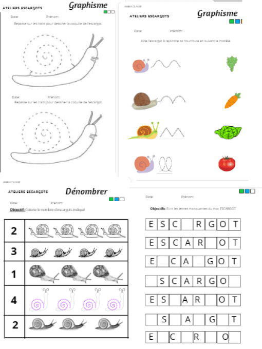 exemple de fiches