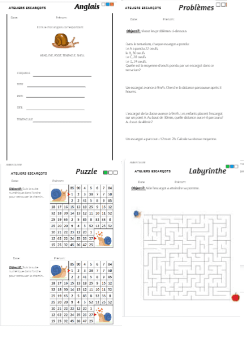 exemple de fiches