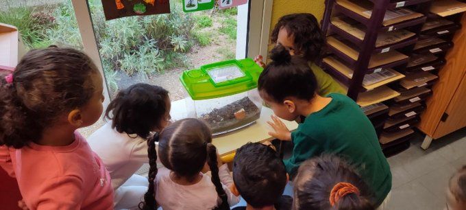 enfant observant en classe