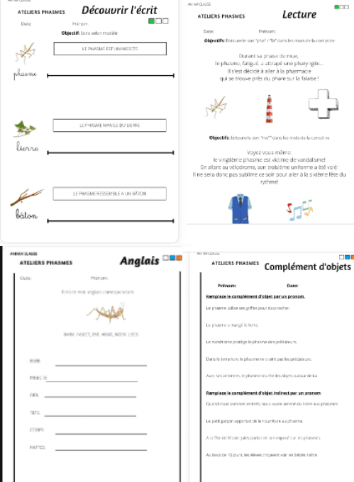 exemple de fiches