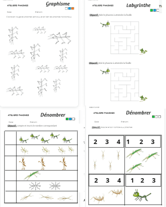 exemple de fiches